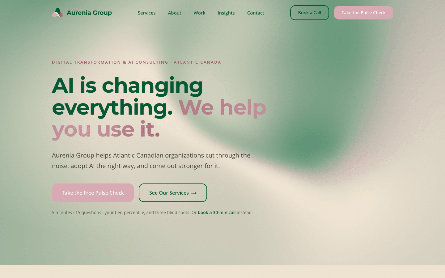 Aurenia Consulting Portal preview